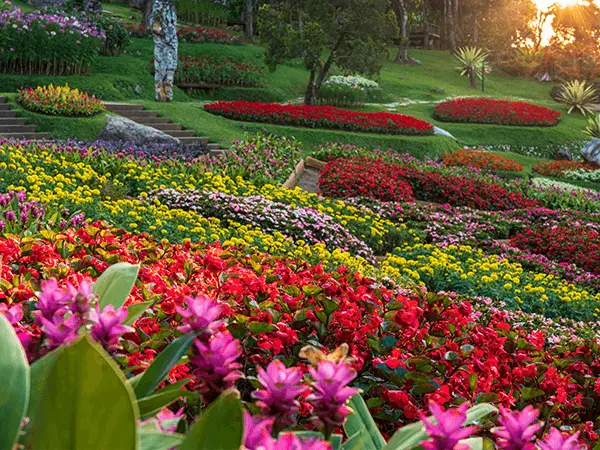 Mae Fah Luang Garden