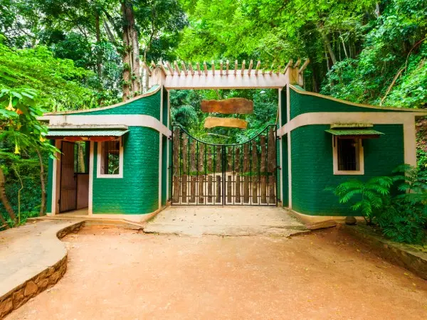 Udawattakele Forest Reserve