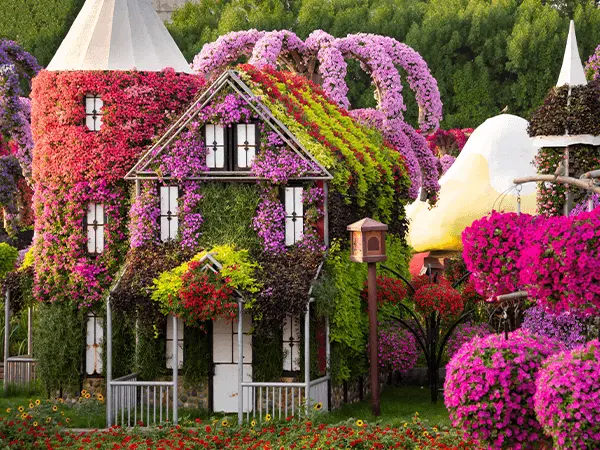 Dubai Miracle Garden