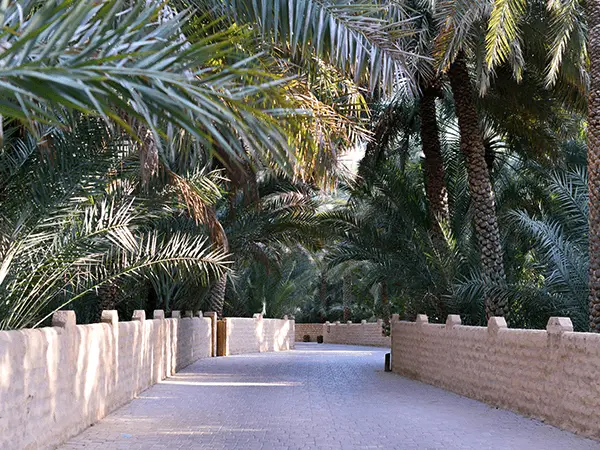 Al Ain Oasis
