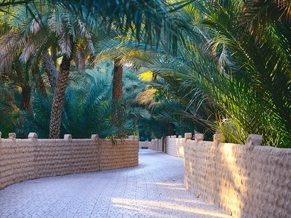 Al Ain Oasis