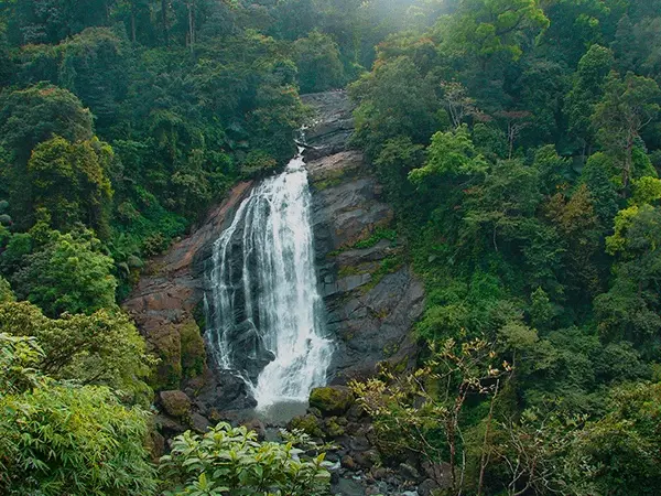 Attukal Waterfalls
