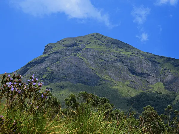 Anamudi Peak