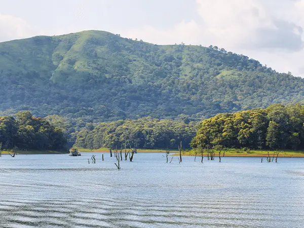Periyar Lake