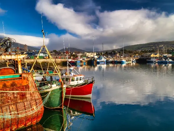 Dingle Harbor