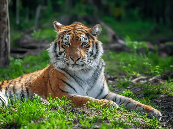 Cotigao Wildlife Sanctuary