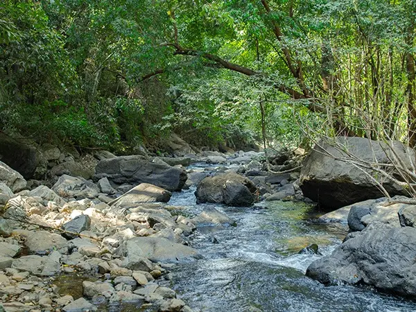 Bhagwan Mahavir Wildlife Sanctuary