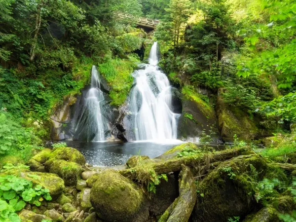 Triberg Waterfalls