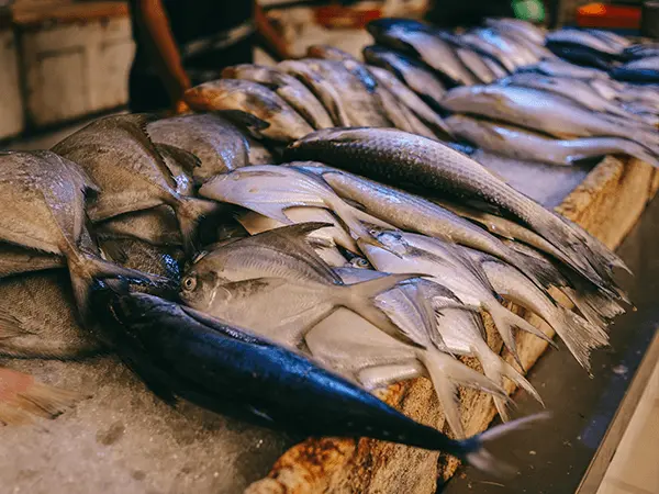 Jagalchi Fish Market