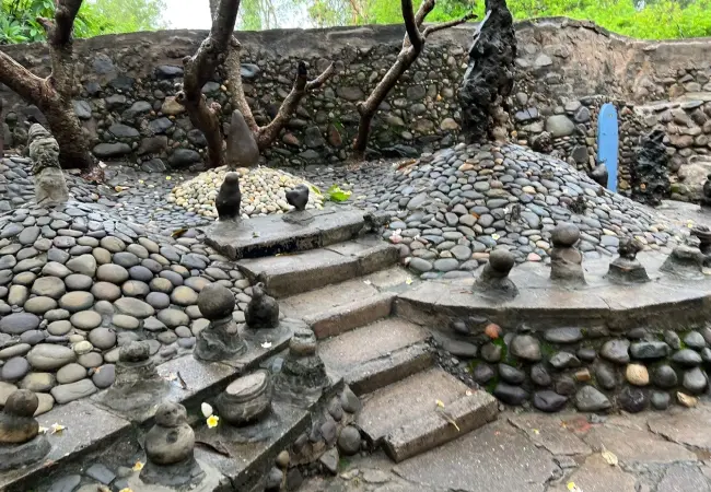 Rock Garden