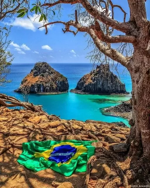 intersight Brazil