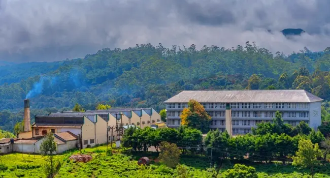 Nuwara Eliya