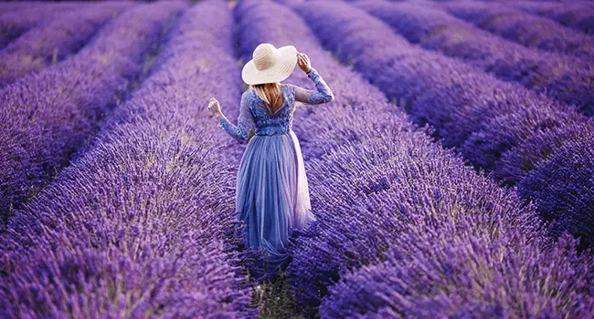Provence