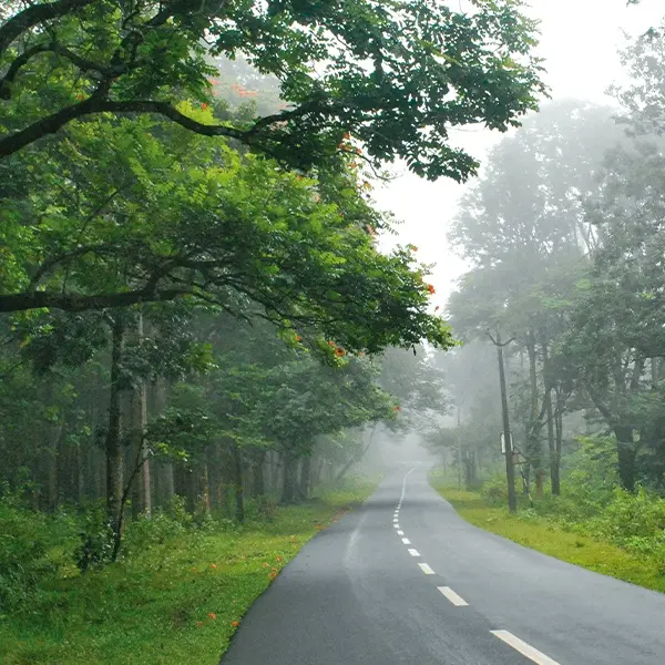 Wayanad