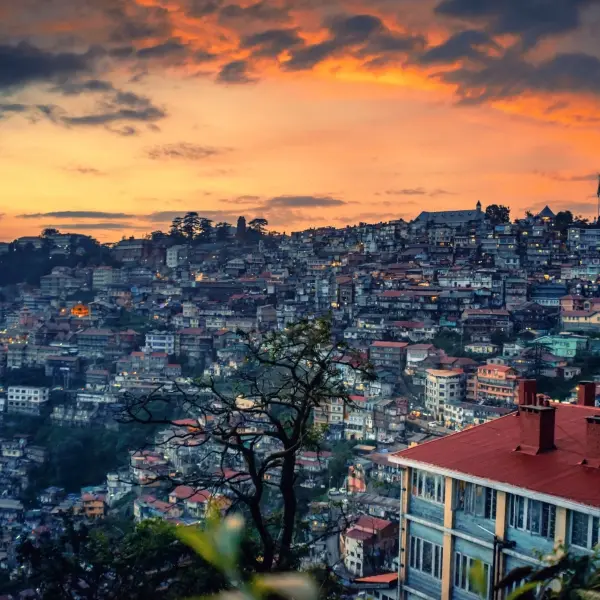 Shimla