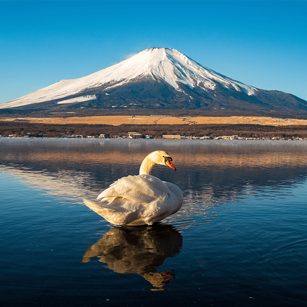 Mount Fuji