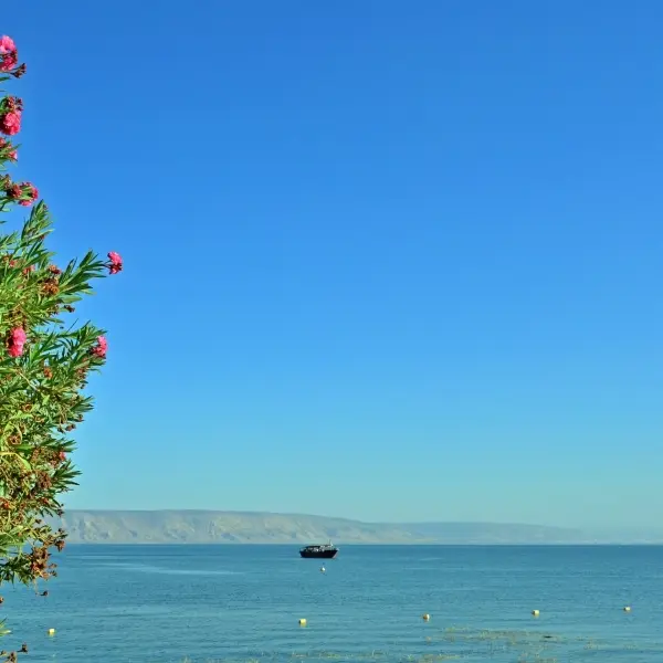 The Sea of Galilee
