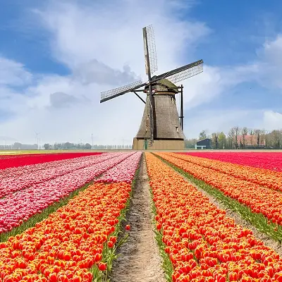 intersight Netherlands