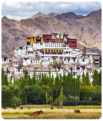 Ladakh Tourism
