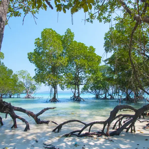 Andaman and Nicobar Islands