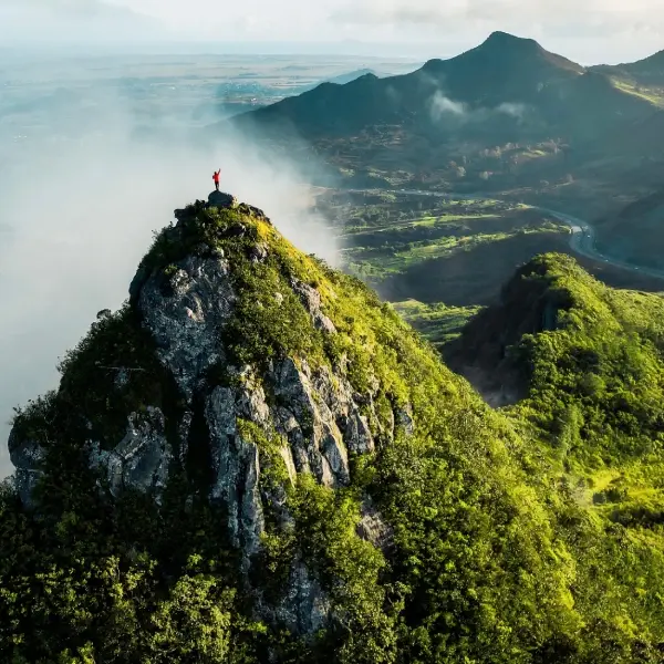 intersight Mauritius