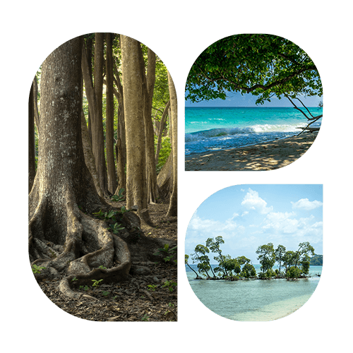 Andaman and Nicobar Islands