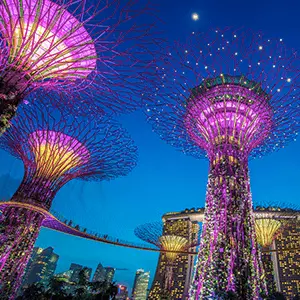 intersight Gardens by the Bay