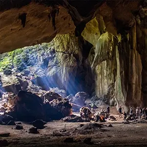 intersight Taman Negara