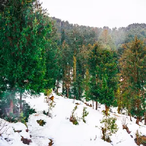 intersight Dalhousie