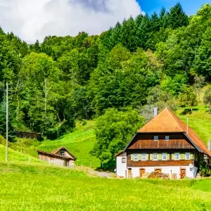 intersight Black forest