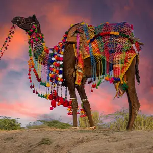 intersight Kutch Region