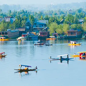 intersight Srinagar