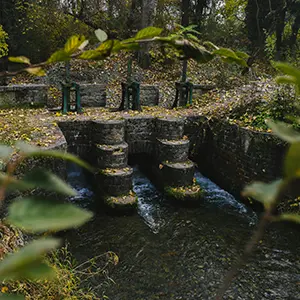 intersight Dachigam National Park
