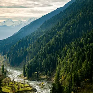 intersight Aru Valley