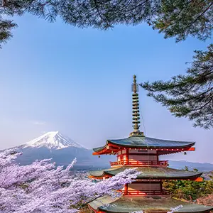 intersight Mount Fuji