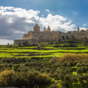 intersight Mdina
