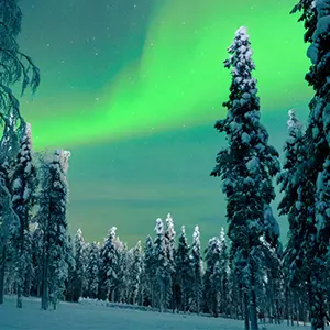 intersight Lapland