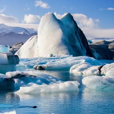 intersight Okulsarlon