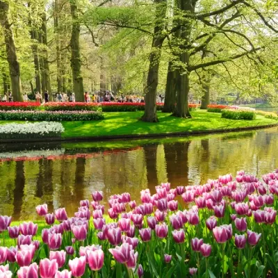 intersight Keukenhof