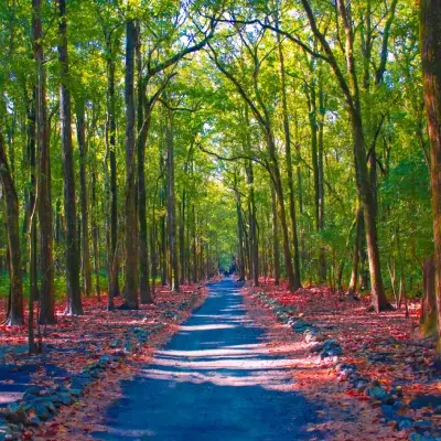 intersight Jim Corbett National Park