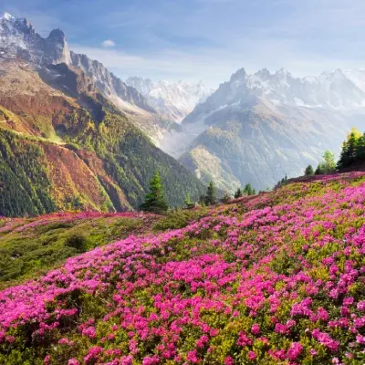 intersight Valley of Flowers