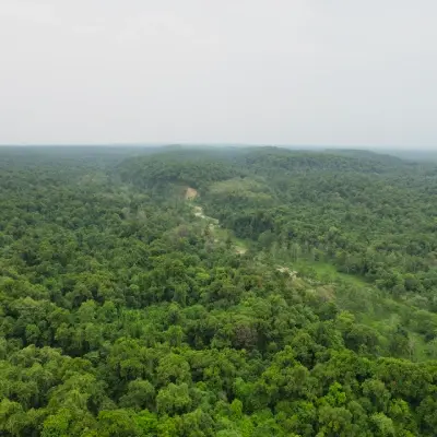 intersight Valmiki Tiger Reserve