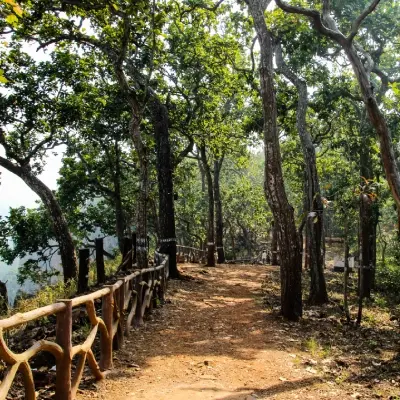 intersight Simlipal National Park