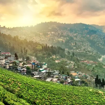 intersight Darjeeling