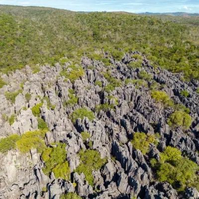 intersight Ankarana  Special Reserve