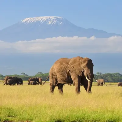 intersight Amboseli National Park