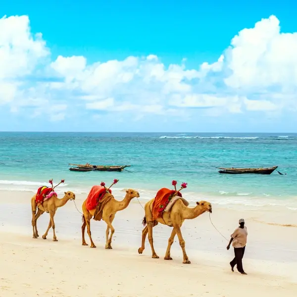 intersight Diani Beach