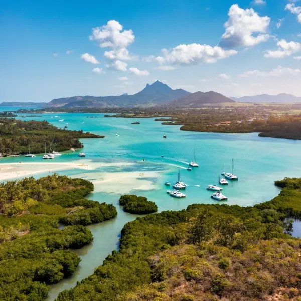 intersight Le Aux Cerfs