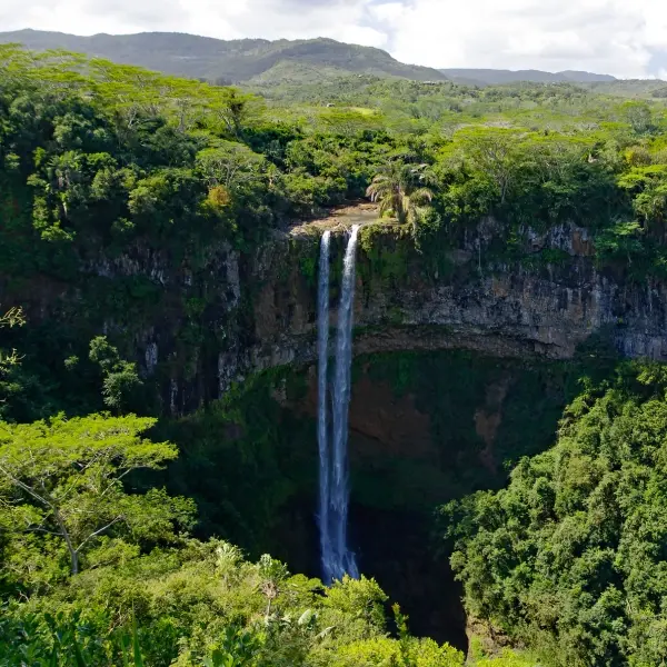 intersight Black River Gorges National Park