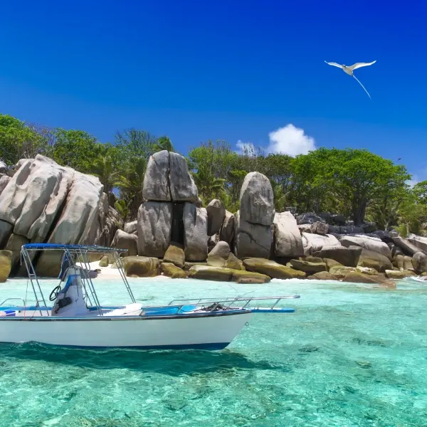 intersight Bird Island